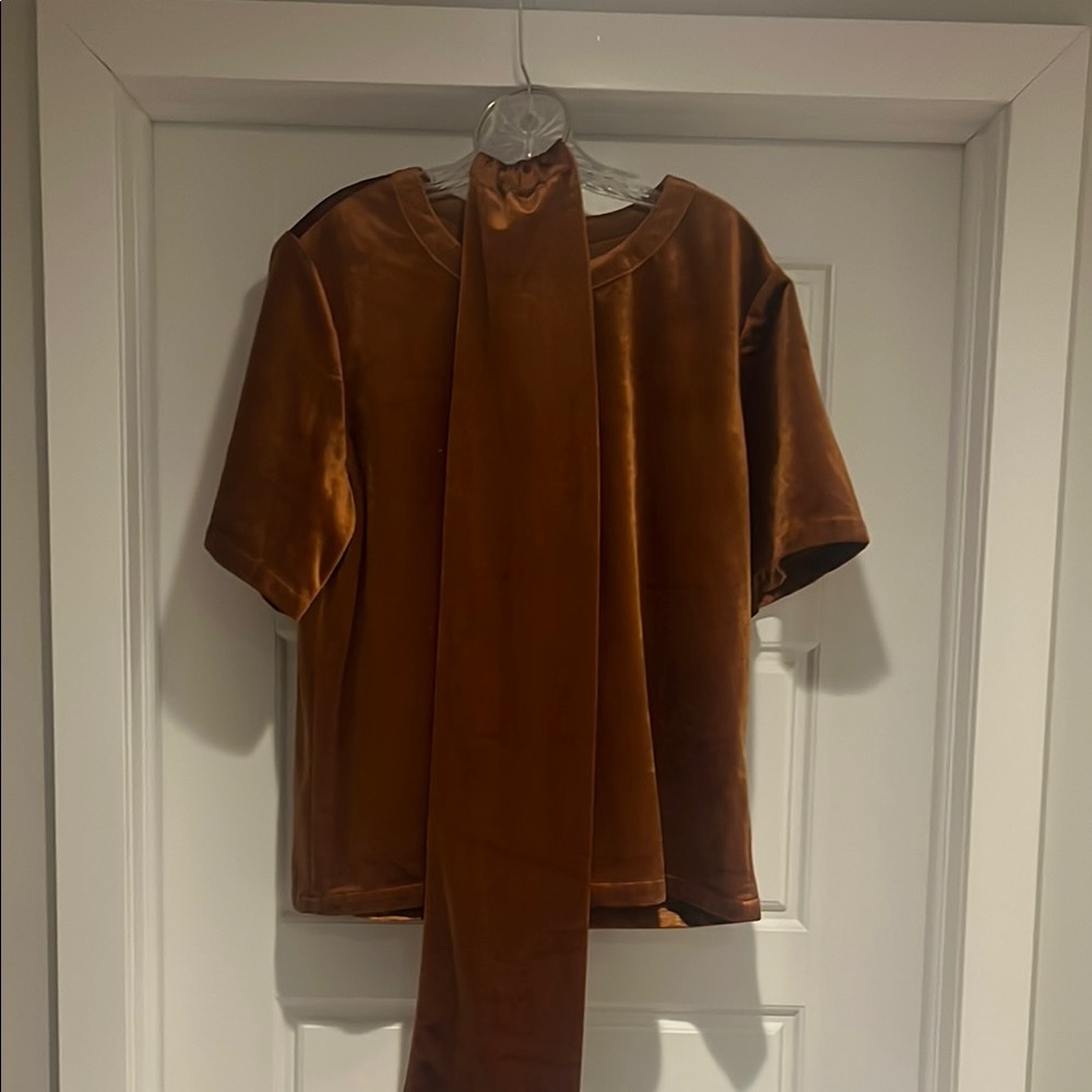 Brown Velvet Short Sleeve Top with Belt